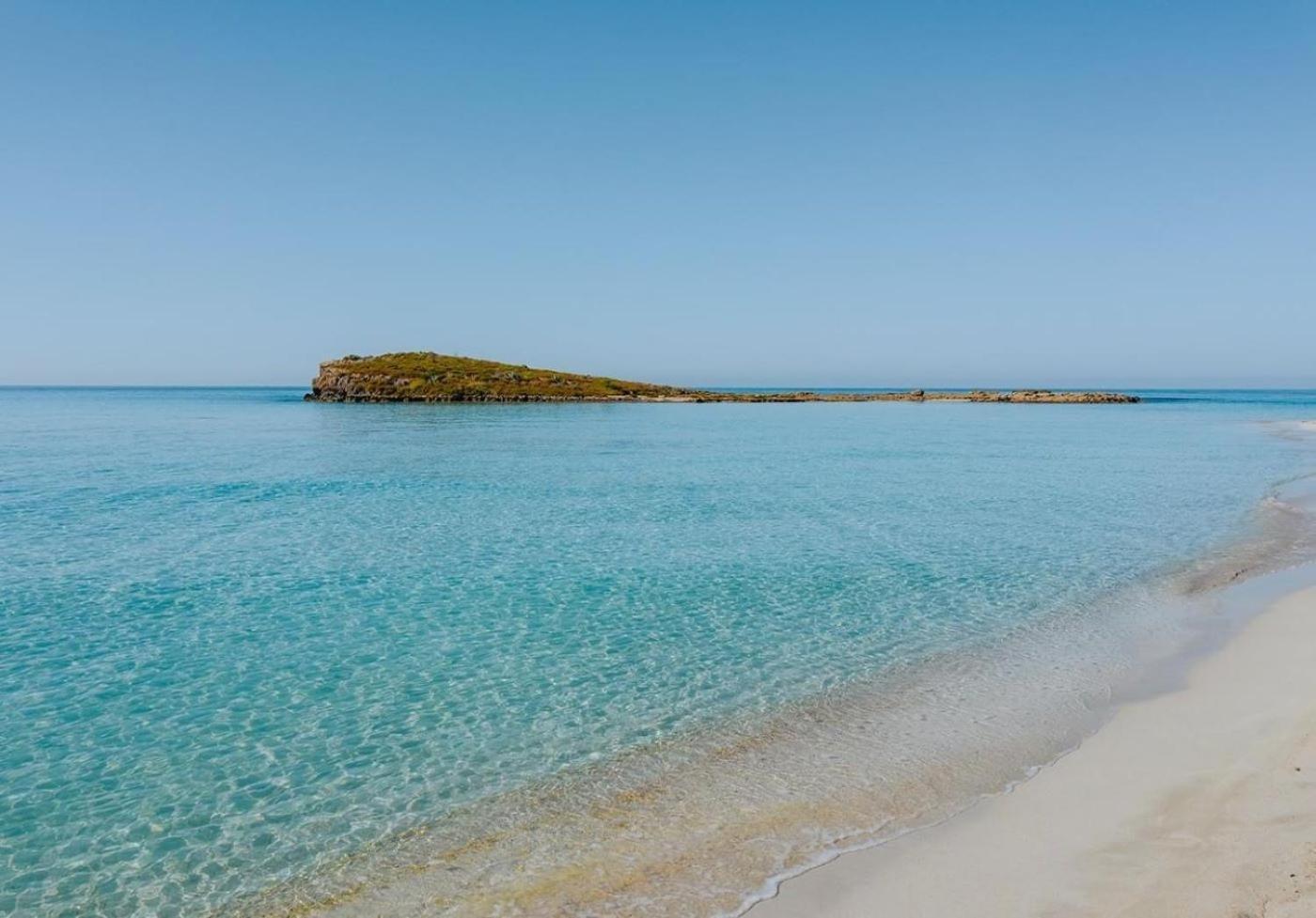 Narcissos 'Nissi Beach' Apartment C12 أيا نابا المظهر الخارجي الصورة