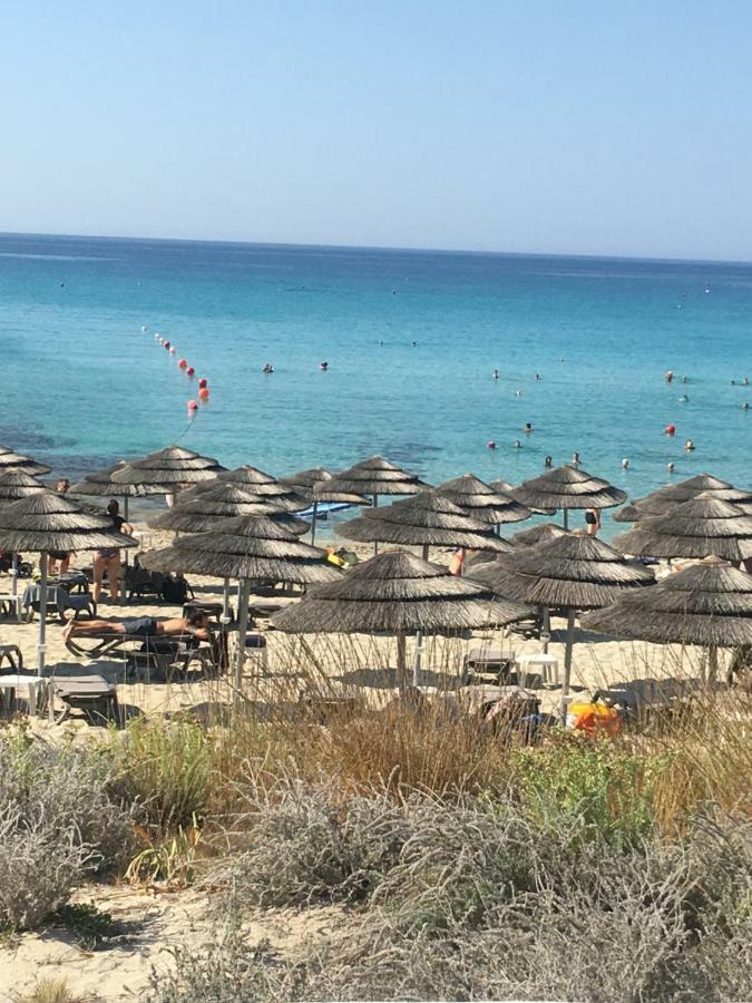 Narcissos 'Nissi Beach' Apartment C12 أيا نابا المظهر الخارجي الصورة