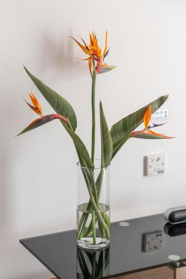 Narcissos 'Nissi Beach' Apartment C12 أيا نابا المظهر الخارجي الصورة